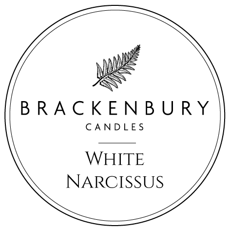 White Narcissus